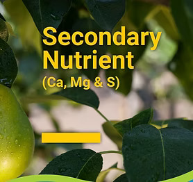  Secondary Nutrient